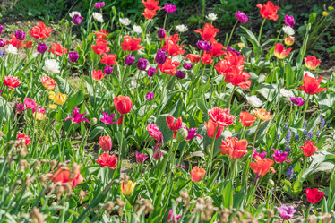 Similar image 21082020