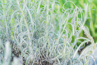 Similar image 21082023