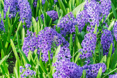 Similar image 21082024