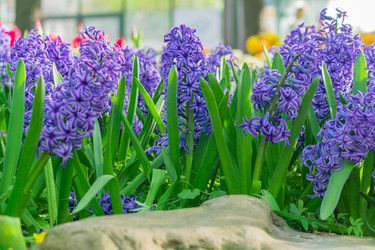 Similar image 21082025