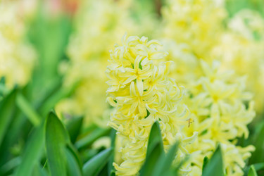 Similar image 21082026