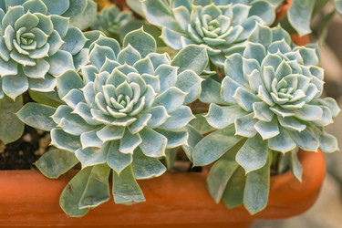 Similar image 21082029