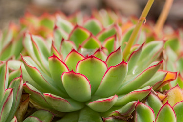 Similar image 21082030