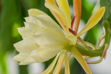 Similar image 21086359