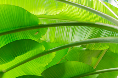 Similar image 21086363