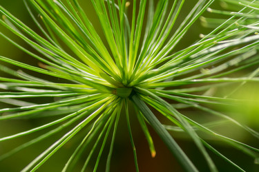 Similar image 21086364