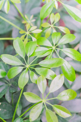 Similar image 21086466