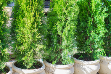 Similar image 21086467