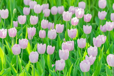 Similar image 21086469