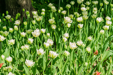 Similar image 21086472