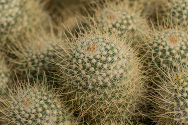 Similar image 21086473