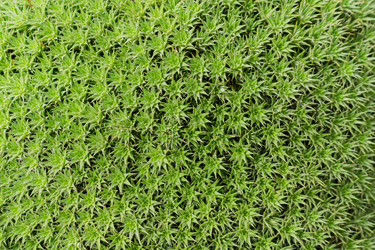 Similar image 21086474