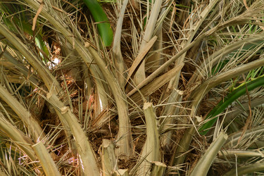 Similar image 21086477