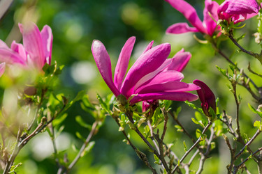 Similar image 21086482