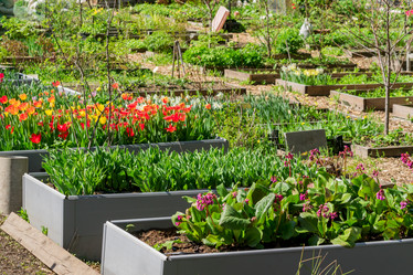 Similar image 21086578