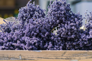 Similar image 21086587