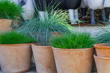 Similar image 21086588