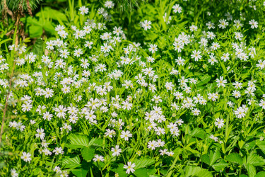 Similar image 21086590