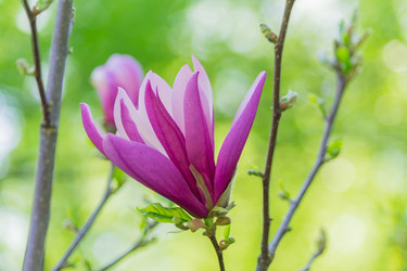 Similar image 21086592