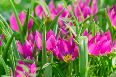 Similar image 21086594