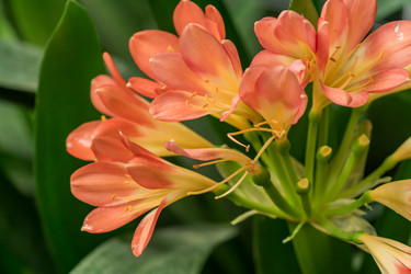 Similar image 21086598