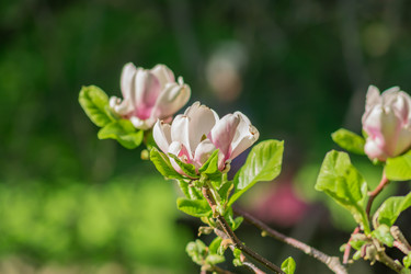 Similar image 21086599