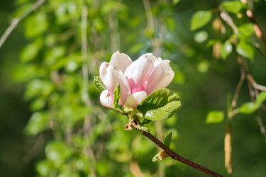 Similar image 21086600