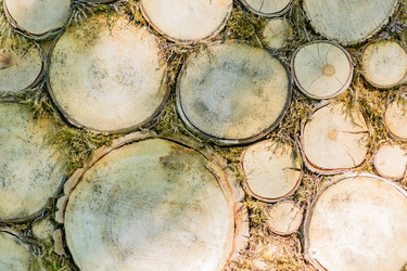 Similar image 21086602