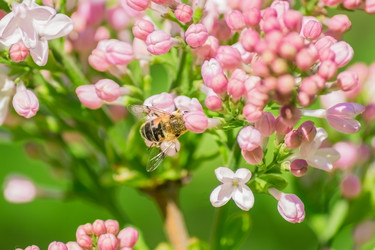 Similar image 21086603