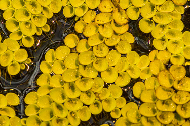 Similar image 21086606