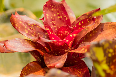 Similar image 21086607