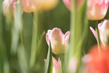 Similar image 21086609