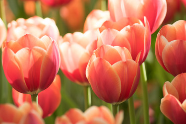 Similar image 21088527