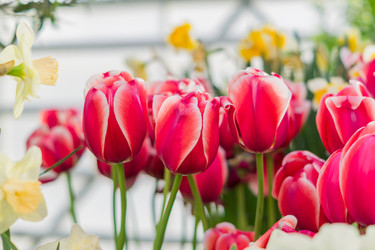 Similar image 21088528