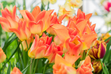 Similar image 21088530