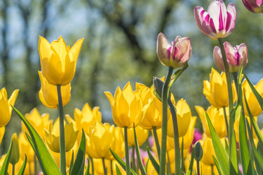 Similar image 21088532