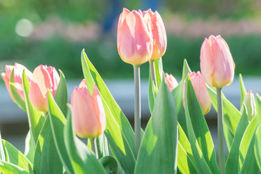 Similar image 21088533