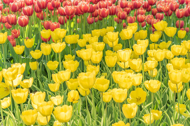 Similar image 21088534