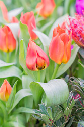 Similar image 21088538