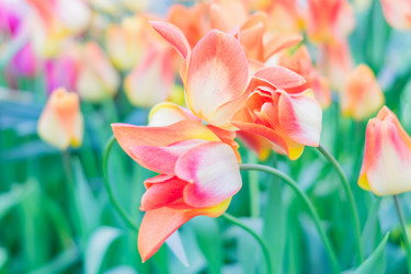 Similar image 21088543