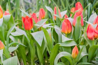 Similar image 21088544