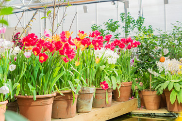 Similar image 21086366