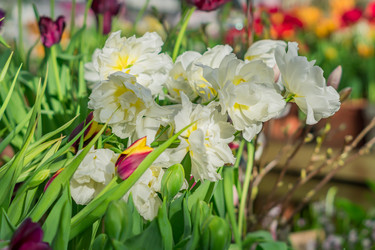 Similar image 21086483