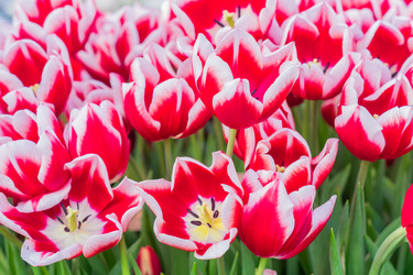 Similar image 21086485