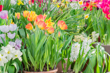 Similar image 21086489