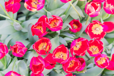 Similar image 21086491