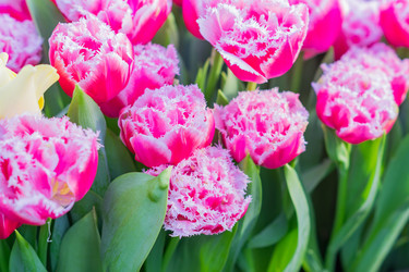 Similar image 21086493