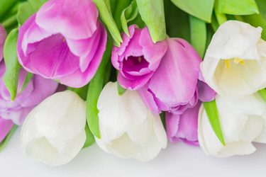 Similar image 21086616