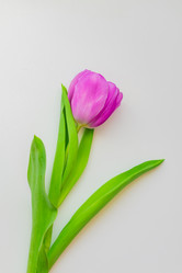 Similar image 21086617