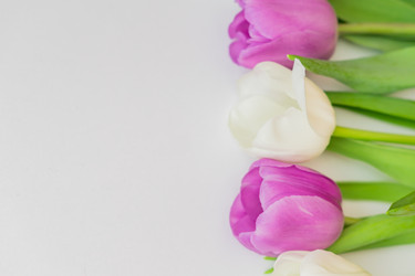 Similar image 21086618